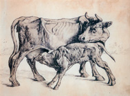 Maternit&agrave;